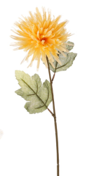 Chryzantéma 60 cm, žlutá