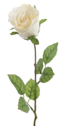 Růže 45 cm, krémová