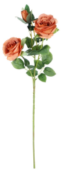 Růže s poupětem 65 cm, meruňková