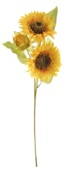 Slunečnice 60 cm, žlutá, 3 květy