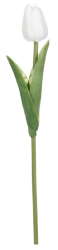 Tulipán 34 cm, bílá