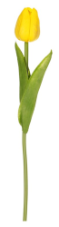 Tulipán 34 cm, žlutá