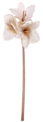 Umělá květina amarylis, krémová